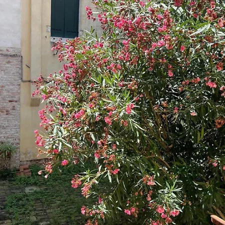 Ania * Venise
